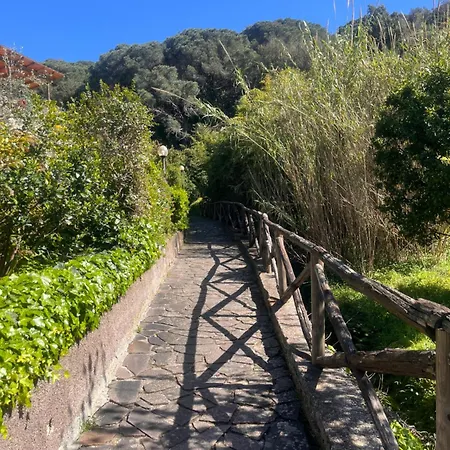 아파트 La Casina Di Checco 마르시아나마리나